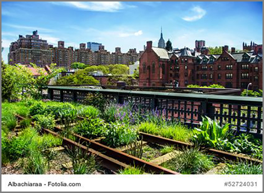 Ein Stadtgarten auf einem Dach in New York
