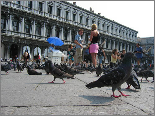 Stadttouristen auf dem Markusplatz in Venedig